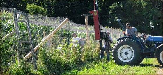 Pheasant Pen